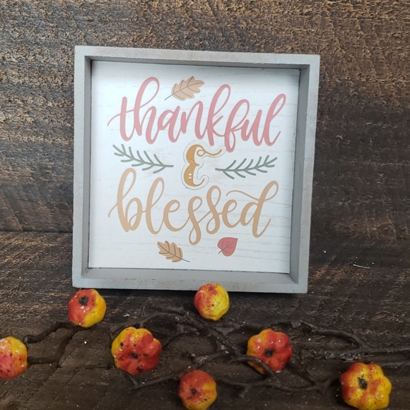fallin Other - Thankful & blessed fall decor